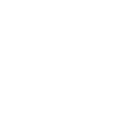 ControlNet Logo