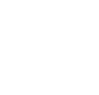 ControlNet Logo